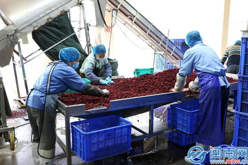 詔安縣縣長帶隊(duì)調(diào)研企業(yè)復(fù)工復(fù)產(chǎn)情況